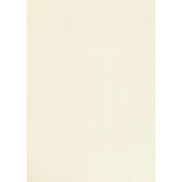 Karton wizytówkowy A4 W20 tłoczony ecrui (20 arkuszy) 246g KRESKA 910