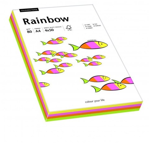 Papier xero kolorowy RAINBOW mix pastelowy 100 ark. 88043187