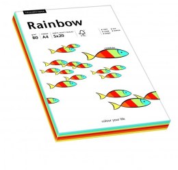 Papier xero kolorowy RAINBOW mix Intensywny 100 ark. 88043188