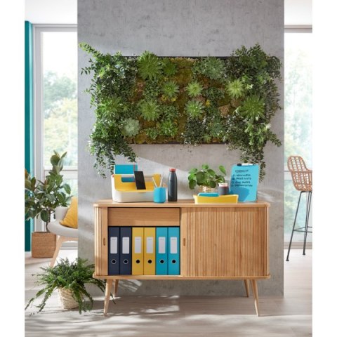 Folder A4 z kieszonką na etykietę Leitz Cosy, żółta 47080019 Folder A4 z kieszonką na etykietę Leitz Cosy, żółta 47080019