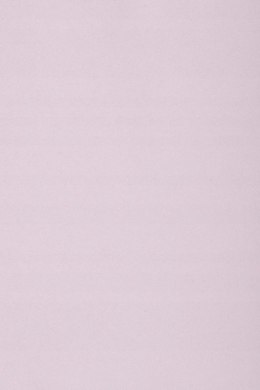 Karton kolorowy Creatinio A1 160g 25ark nr.85 liliowy 400149562 TOP-2000