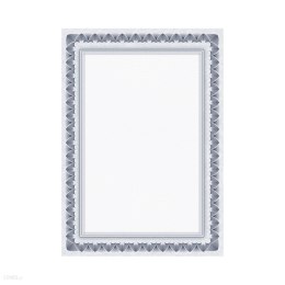 Dyplom Arkady niebieskie 170g A4 25ark. 210817 GALERIA PAPIERU