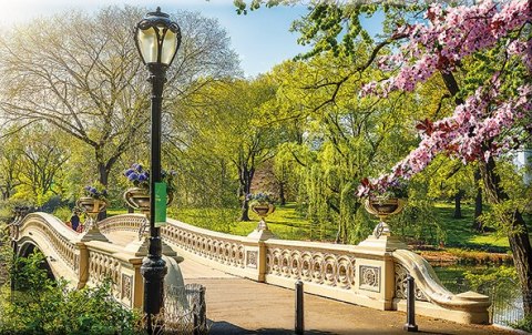 Kalendarz Trójdzielny z główką (T03) ALEJA - krem 2024 TELEGRAPH