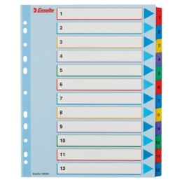 Przekładki kartonowe MYLAR A4 MAXI 1-12 ESSELTE 100209