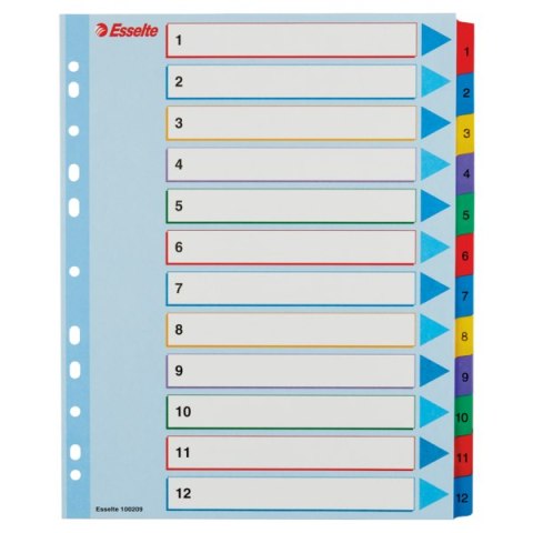 Przekładki kartonowe MYLAR A4 MAXI 1-12 ESSELTE 100209