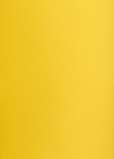 Karton kolorowy Creatinio A2 160g 25ark nr.58 ciemnożółty 400150172 TOP-2000