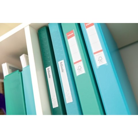 Album ofertowy Esselte ColourBreeze, z 60 koszulkami, zielony 626233 Esselte Album ofertowy Esselte ColourBreeze, z 60 koszulkami, zielony 626233 Esselte