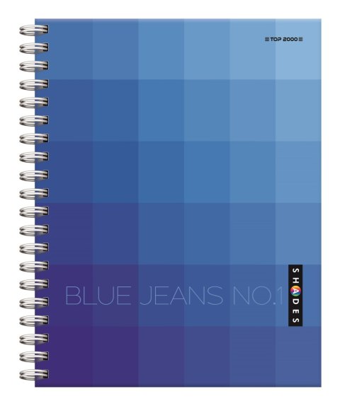 Kołonotatnik A4 160 kartek, kratka z marginesem, SHADES, TOP 2000, 400124633