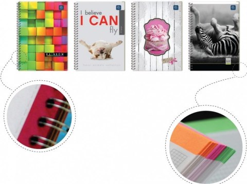 Kołozeszyt_B5 160k kratka z kolorowymi marginesami mix INTERDRUK