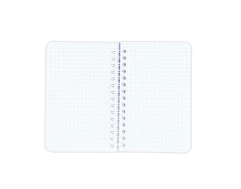 Kołonotatnik 90x140 mm 90 kartek kratka My Colours Oxford 10010232