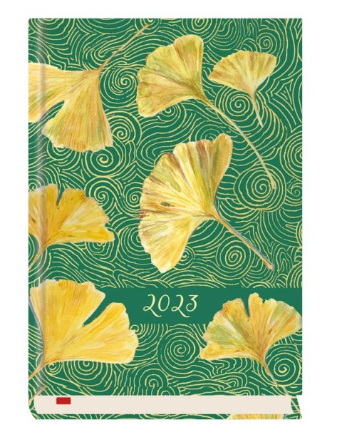 Terminarz Powszechny B6 2026 Michalczyk i Prokop T-200F-01