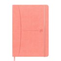 Notatnik OXFORD SIGNATURE A5 80 kartek kratka mix past 400154941