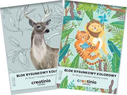 Blok rysunkowy Top 2000 Creatinio A4 10 kartek 80 g kolor 400176665 .