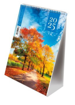 Kalendarz ze spiralką A5 - pionowy 2026 Michalczyk i Prokop T-101-3-21