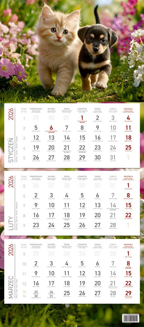 Kalendarz trójdzielny ekonomiczny KS045B PRZYJACIELE 2026 WOKÓŁ NAS