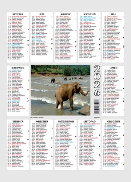 Kalendarz plakietka BESKIDY 25x35 cm mix wzorów