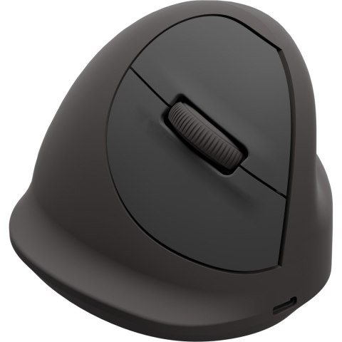 Mysz ergonomiczna pionowa Breyta, średnia, prawa, 100143579 FELLOWES