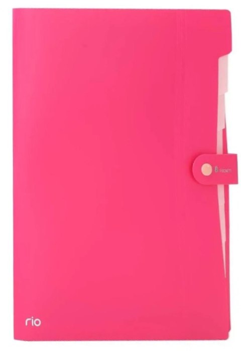Teczka zatrzaskowa A4, 8 przegródek, seria Rio, różowa, EB40102_PINK, Deli.