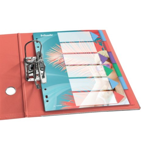 Przekładki ColourBreeze PP A4, 6 przekładek Esselte 628499